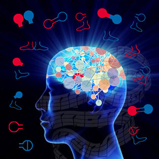 Neuroplasticidade cerebral com o método RGM - Método Ronnie Gardiner?