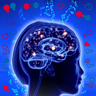 RGM e a Neuroplasticidade no cérebro